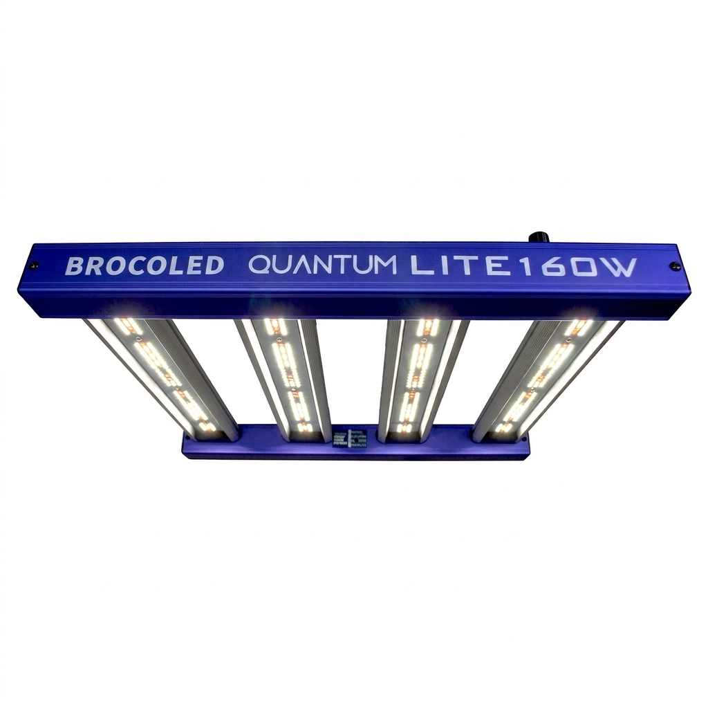 Quantum Lite 160W