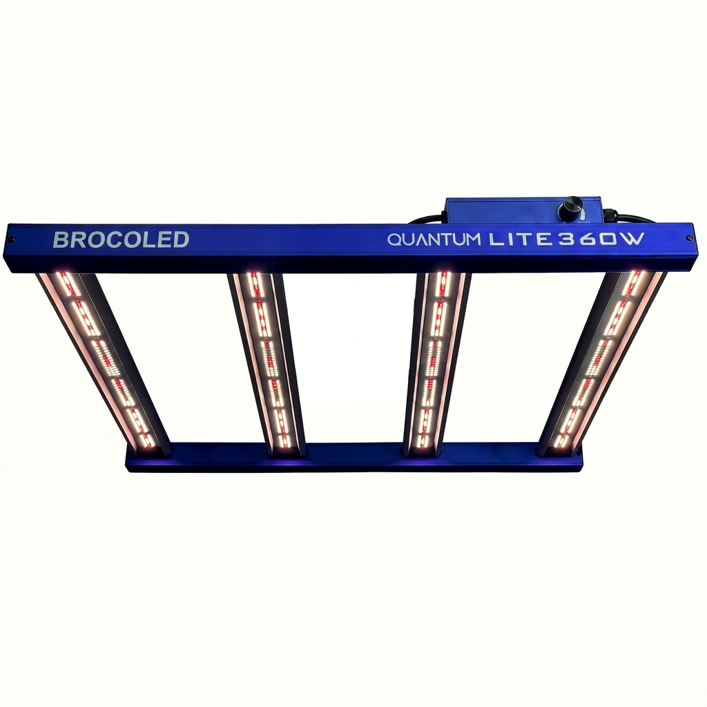 Quantum Lite 360W